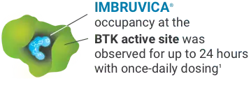 IMBRUVICA® occupancy at the  BTK active site was observed for up to 24 hours with once-daily dosing^1